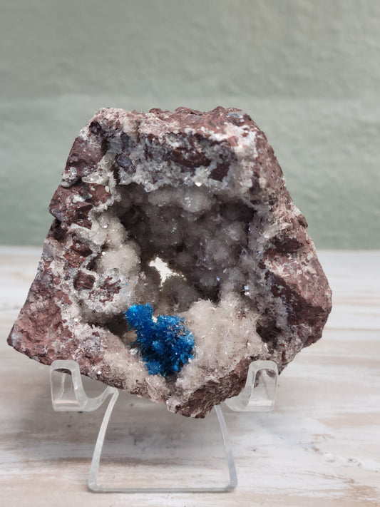 Inventory is always changing, but here is some of what is in-store right now.