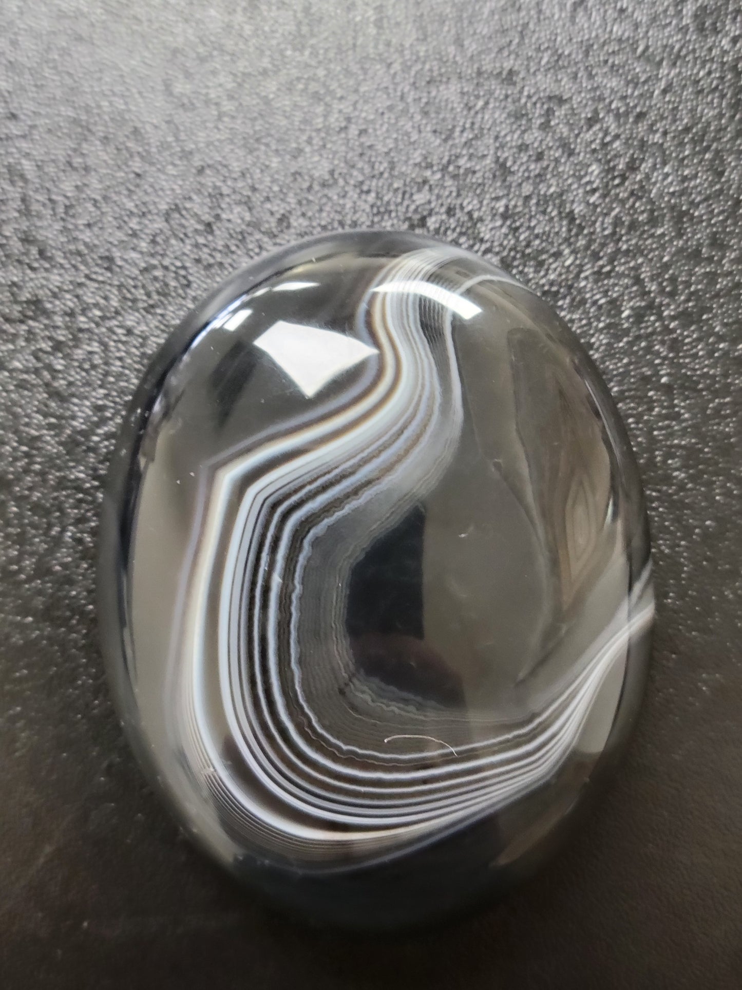 Agate Palm Stone (#1b)