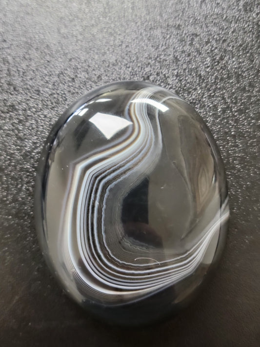 Agate Palm Stone (#1b)