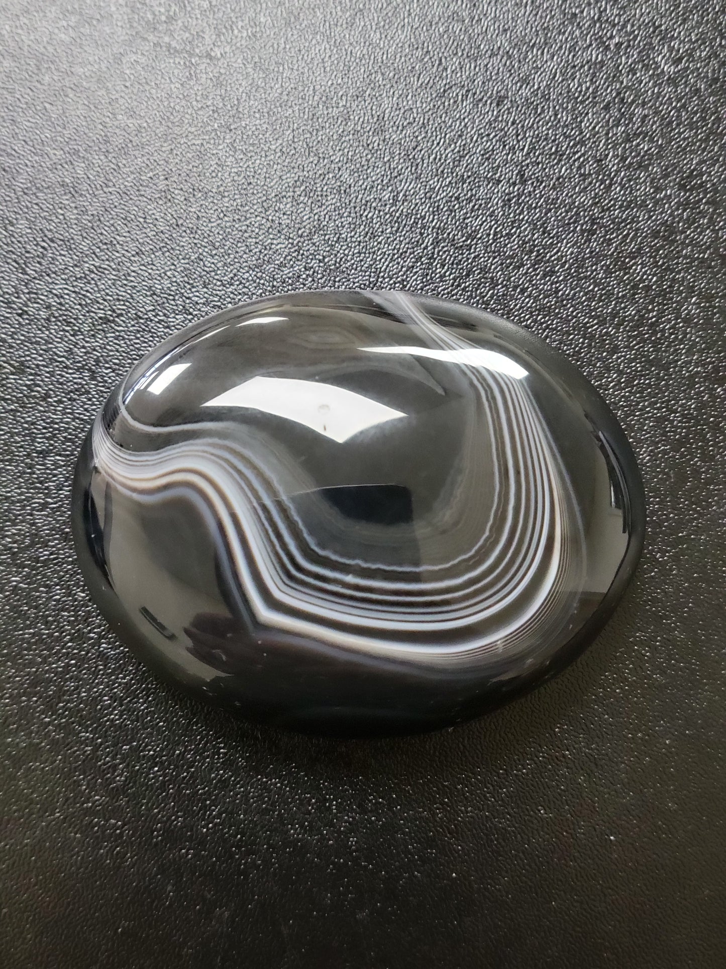 Agate Palm Stone (#1b)