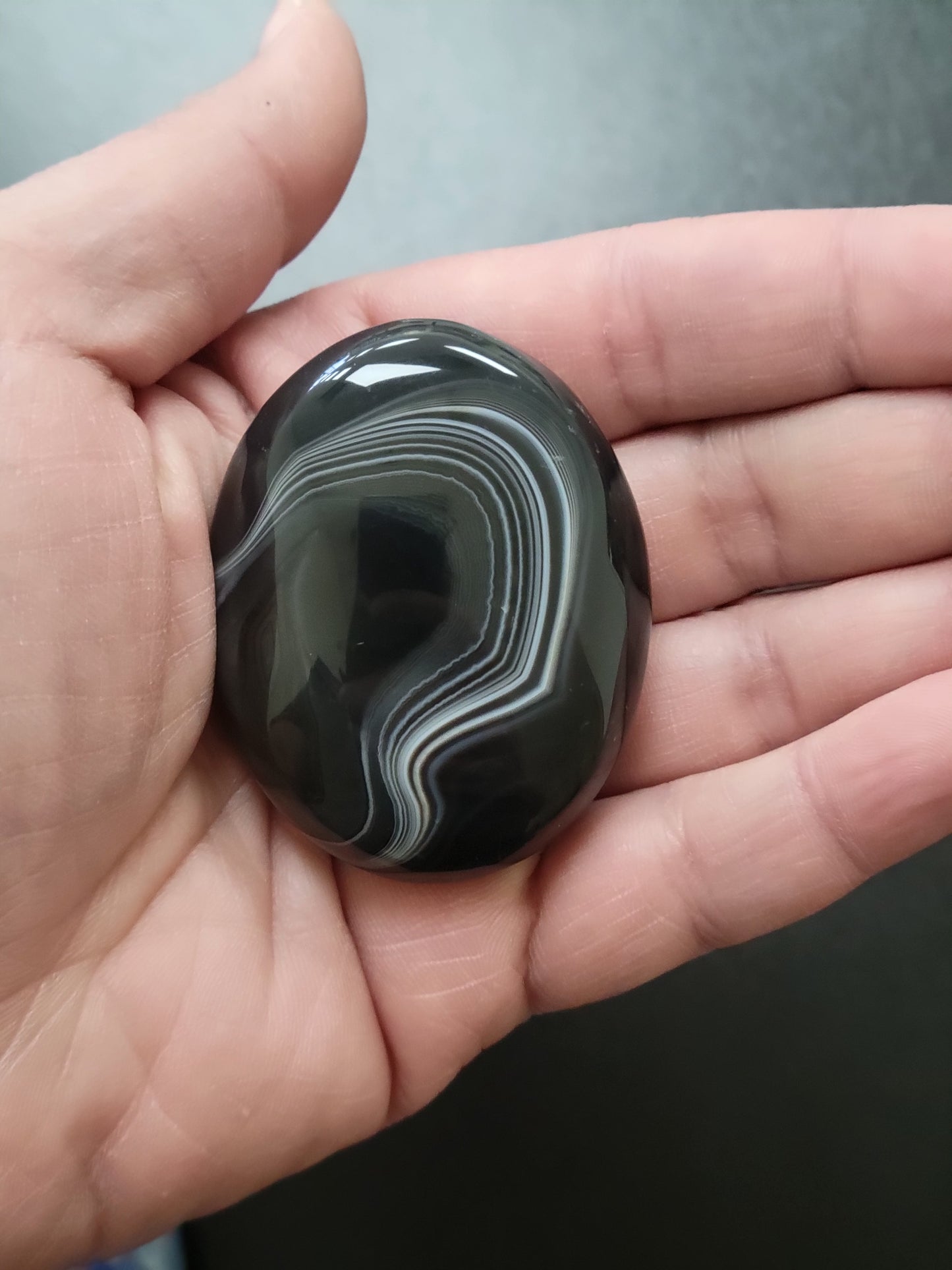 Agate Palm Stone (#1b)