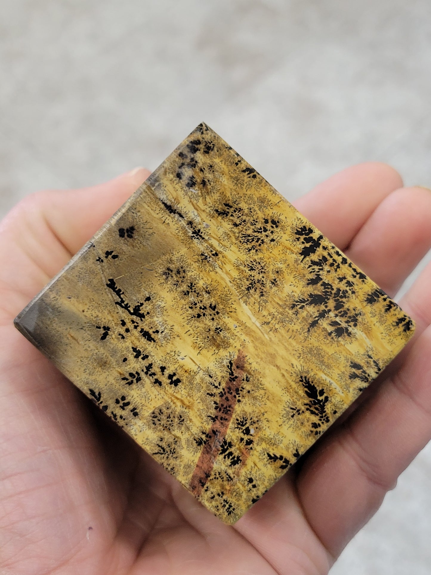 Picture Jasper Cube
