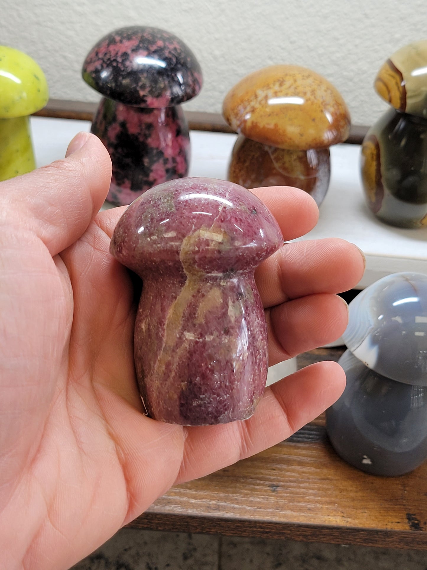 OCEAN JASPER MUSHROOM
