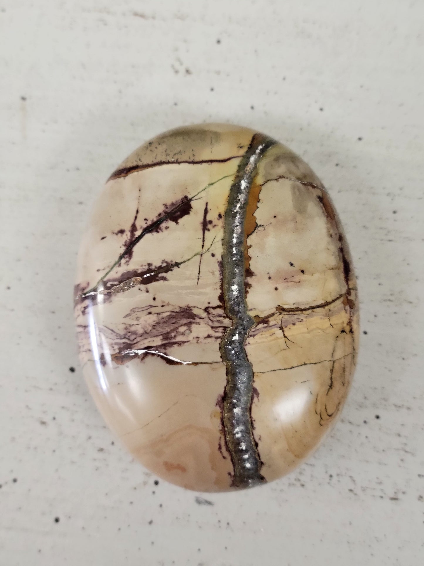 Palm Stone (Picture Jasper)