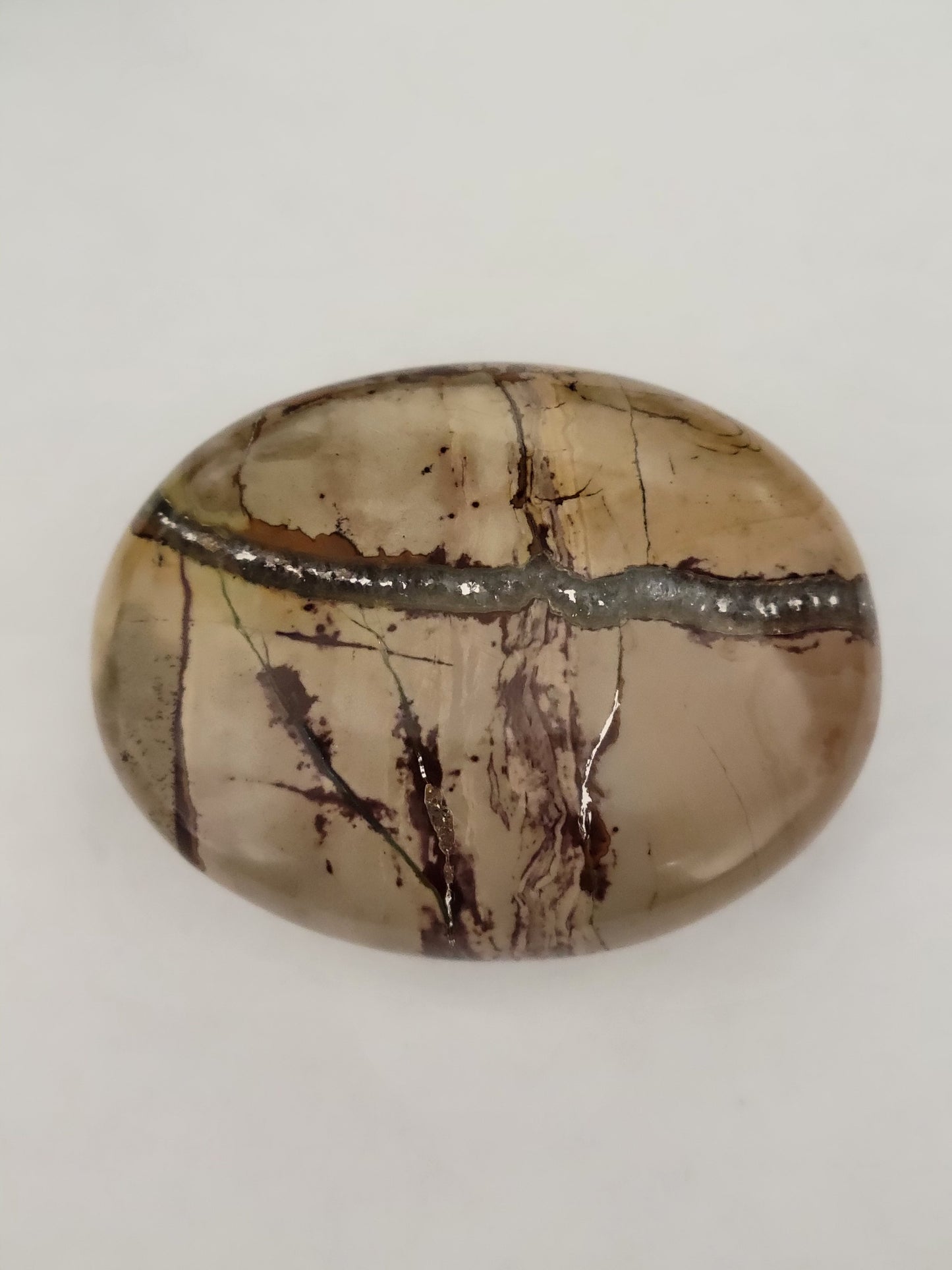 Palm Stone (Picture Jasper)