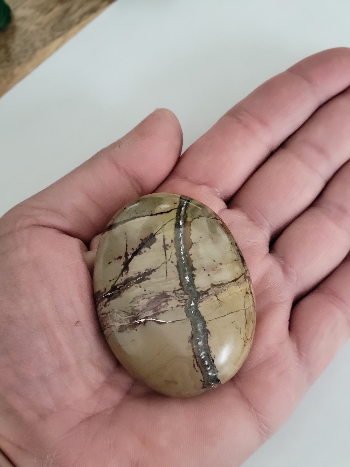 Palm Stone (Picture Jasper)