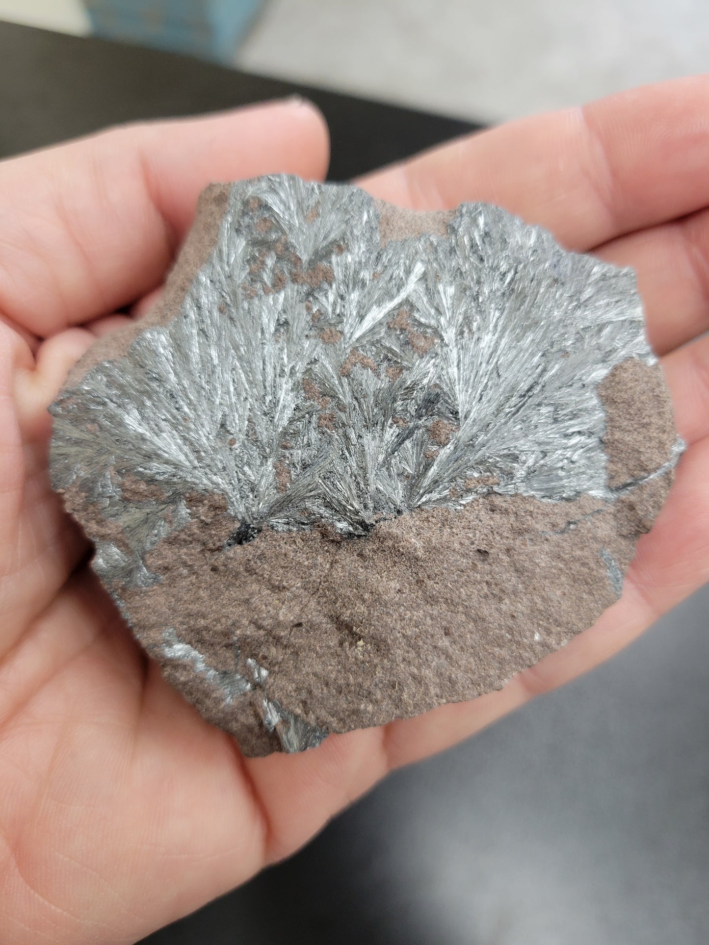 Stibnite (Pyrolusite)