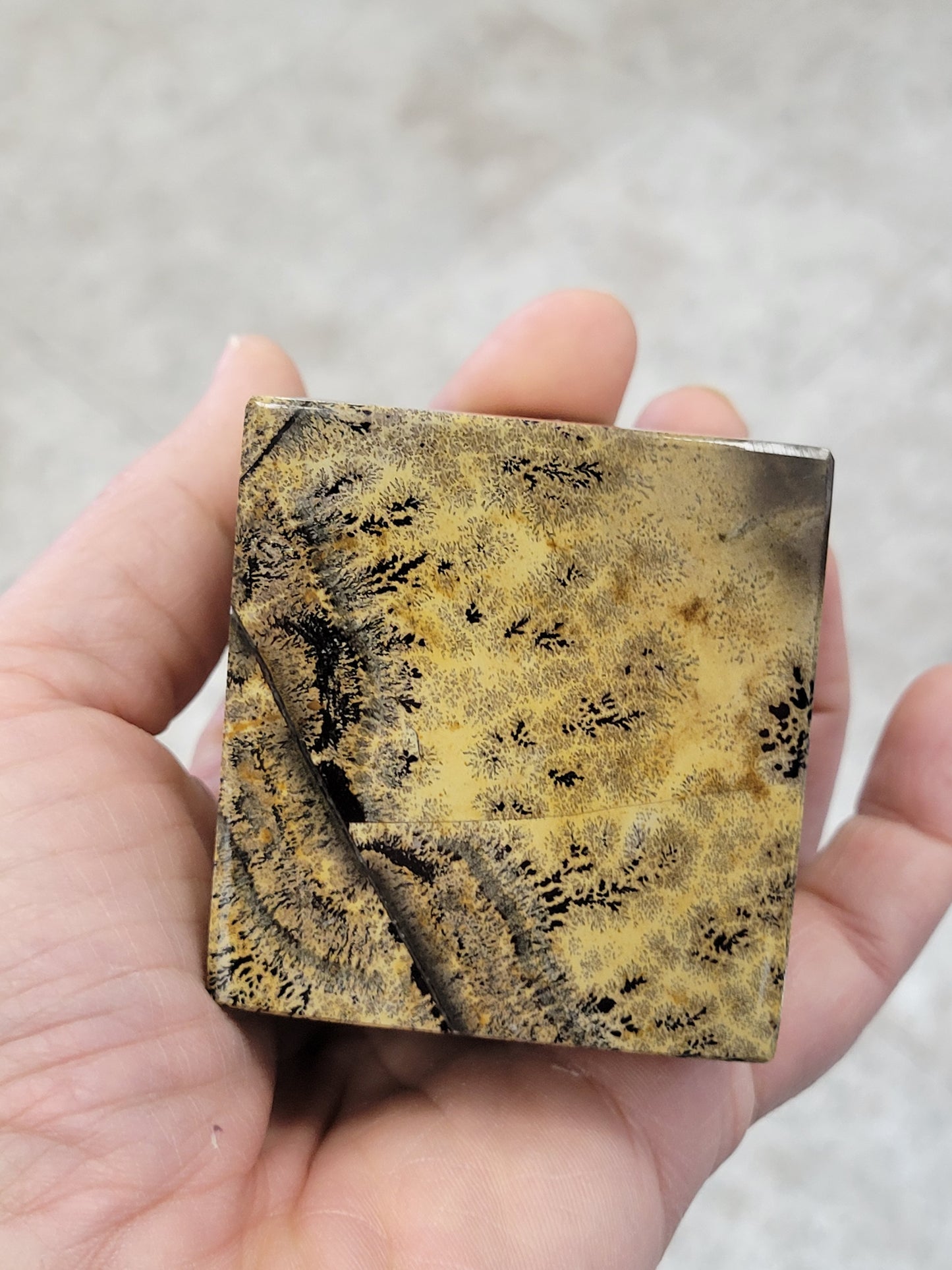 Picture Jasper Cube