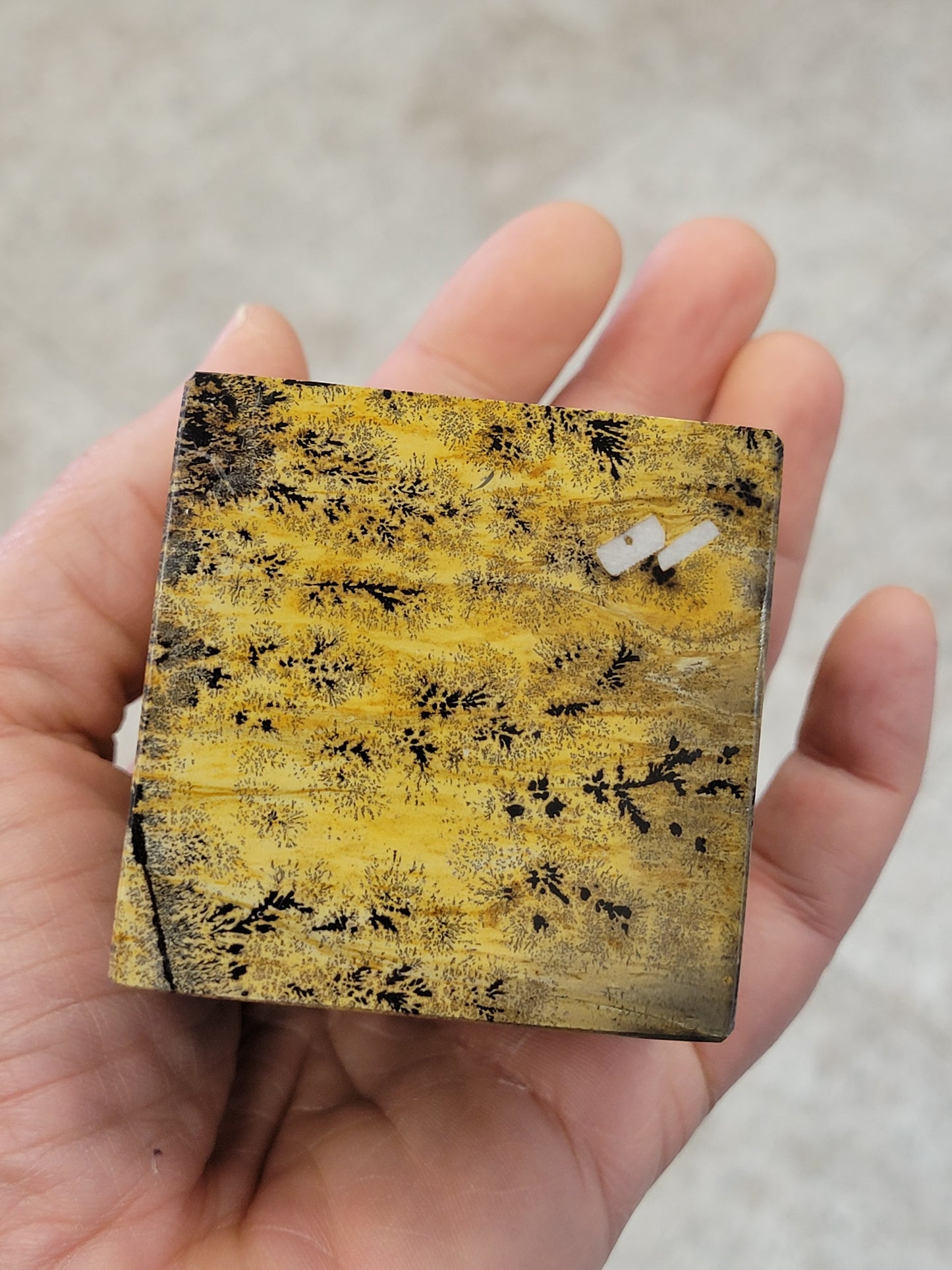 Picture Jasper Cube