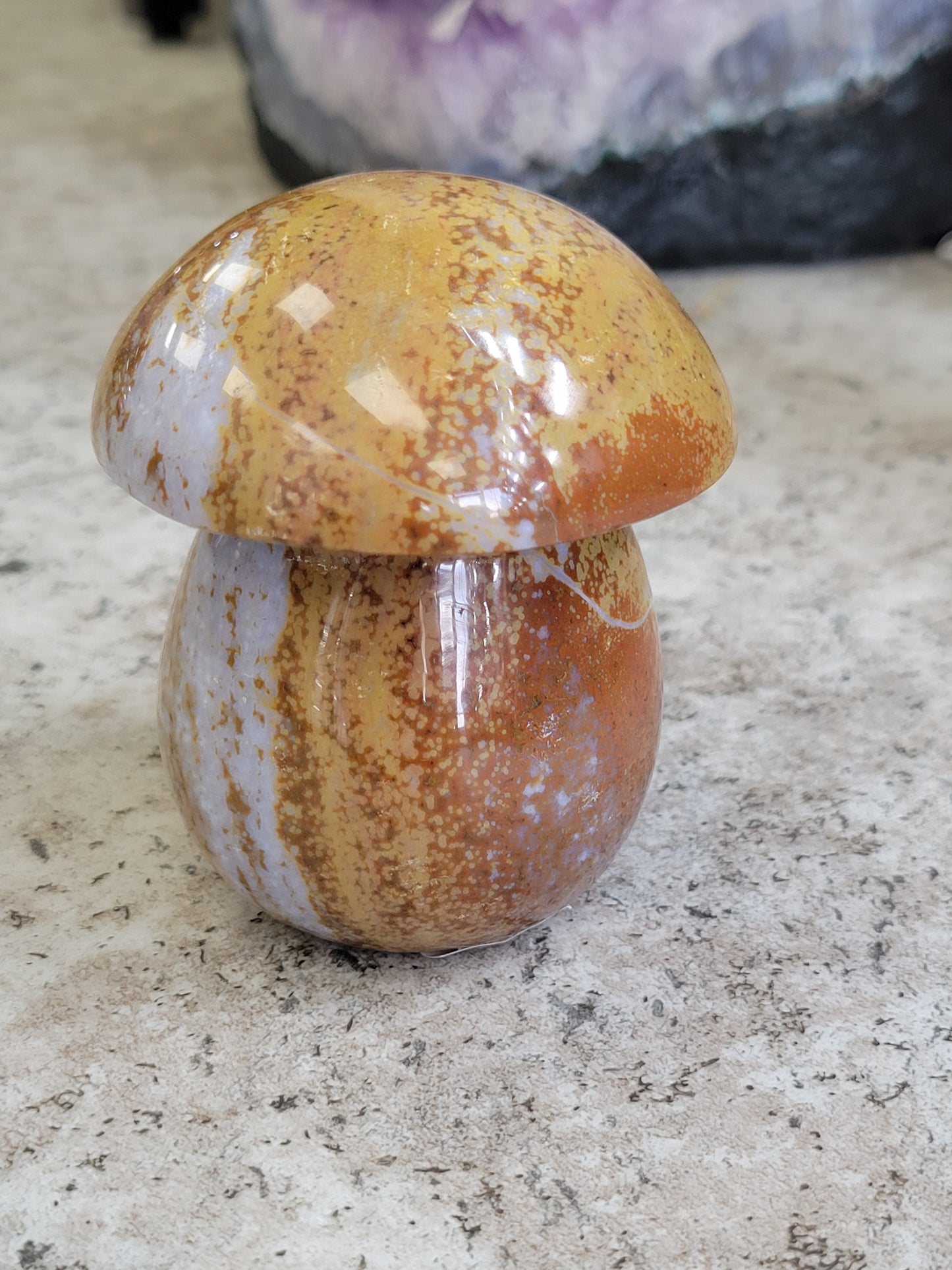 OCEAN JASPER MUSHROOM