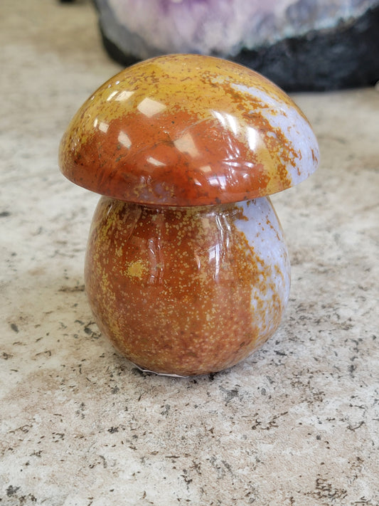 OCEAN JASPER MUSHROOM