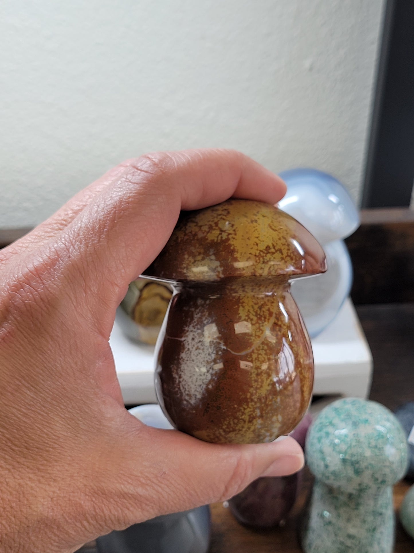OCEAN JASPER MUSHROOM