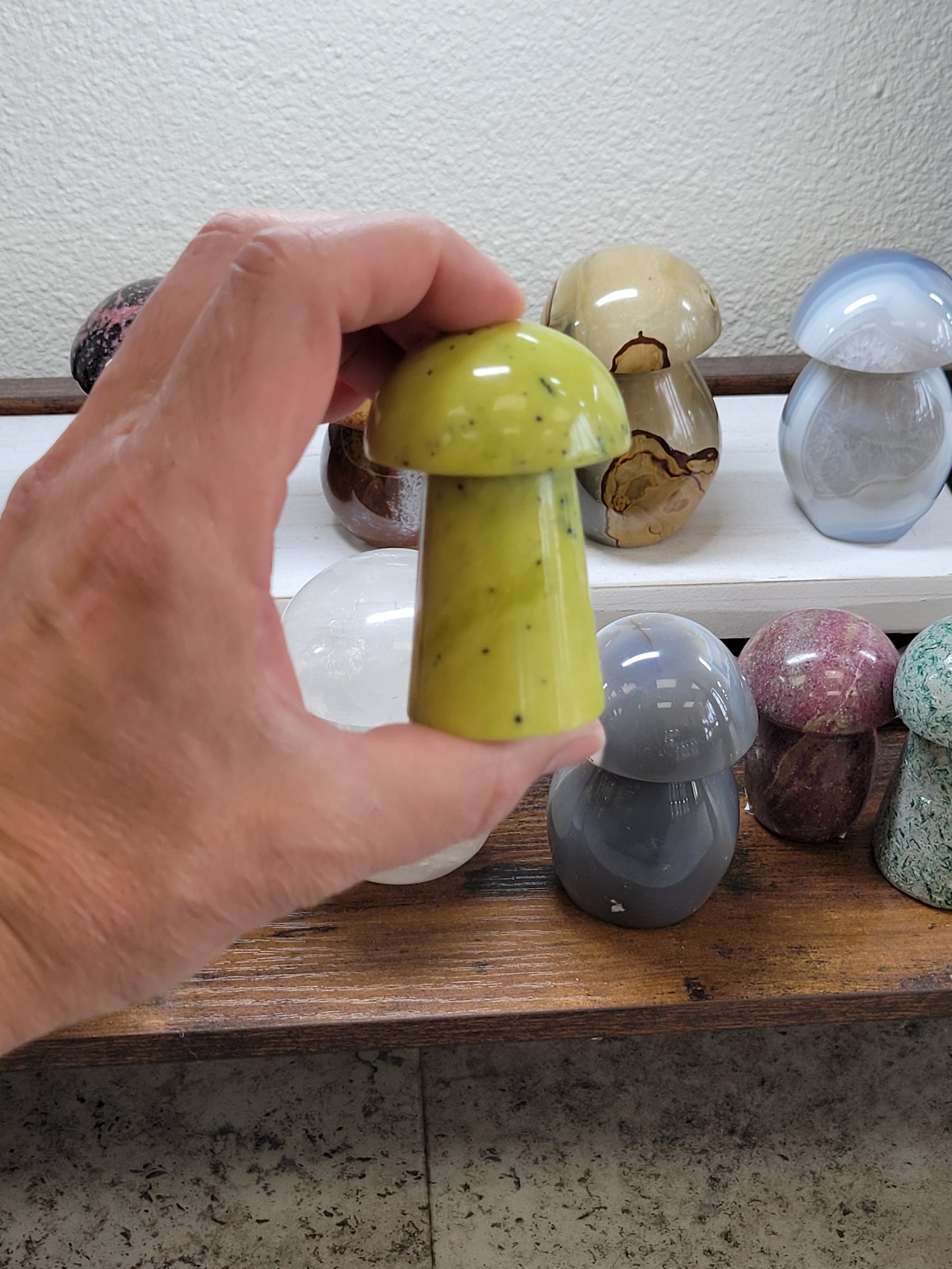 SERPENTINE MUSHROOM