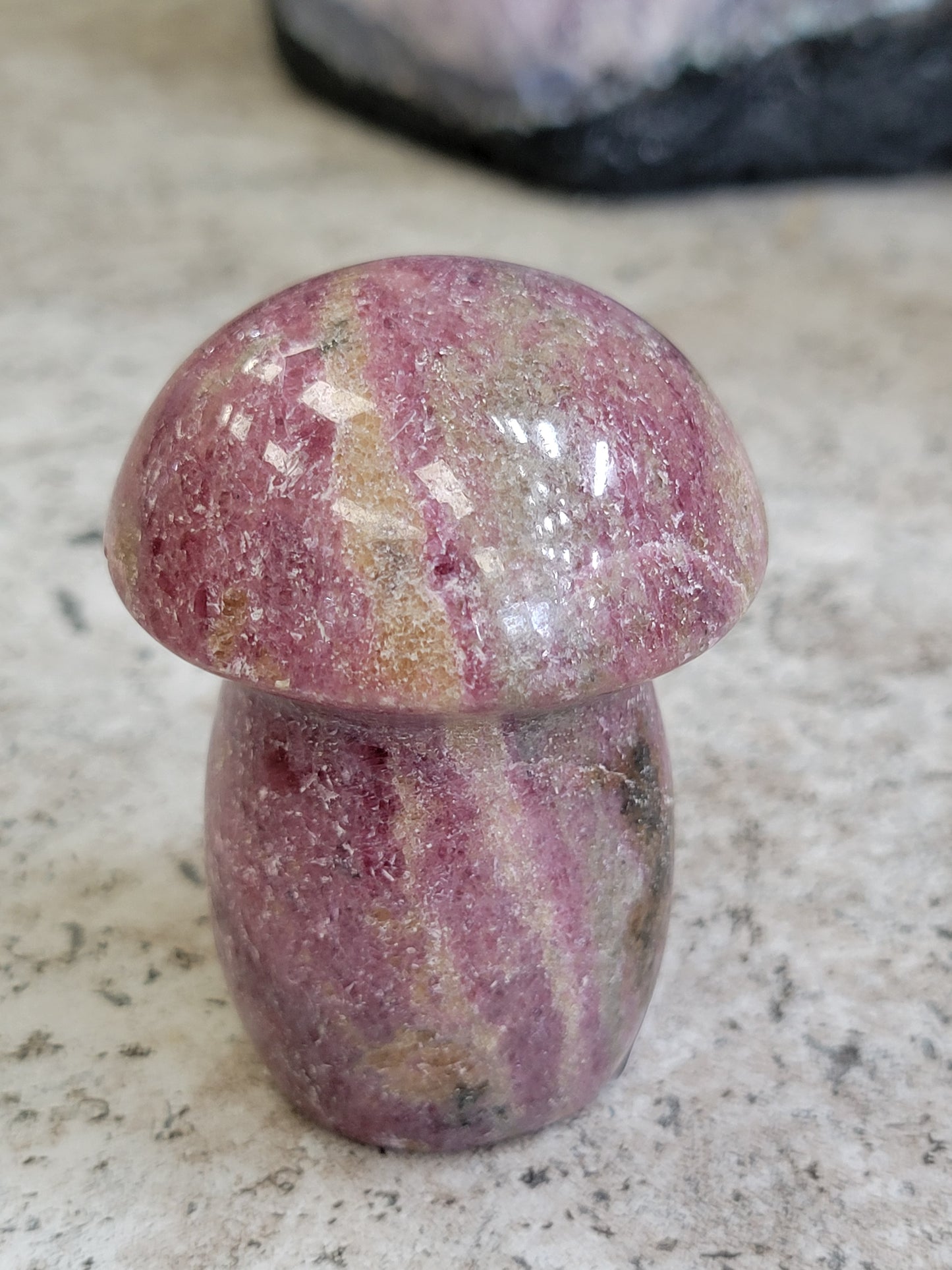 OCEAN JASPER MUSHROOM