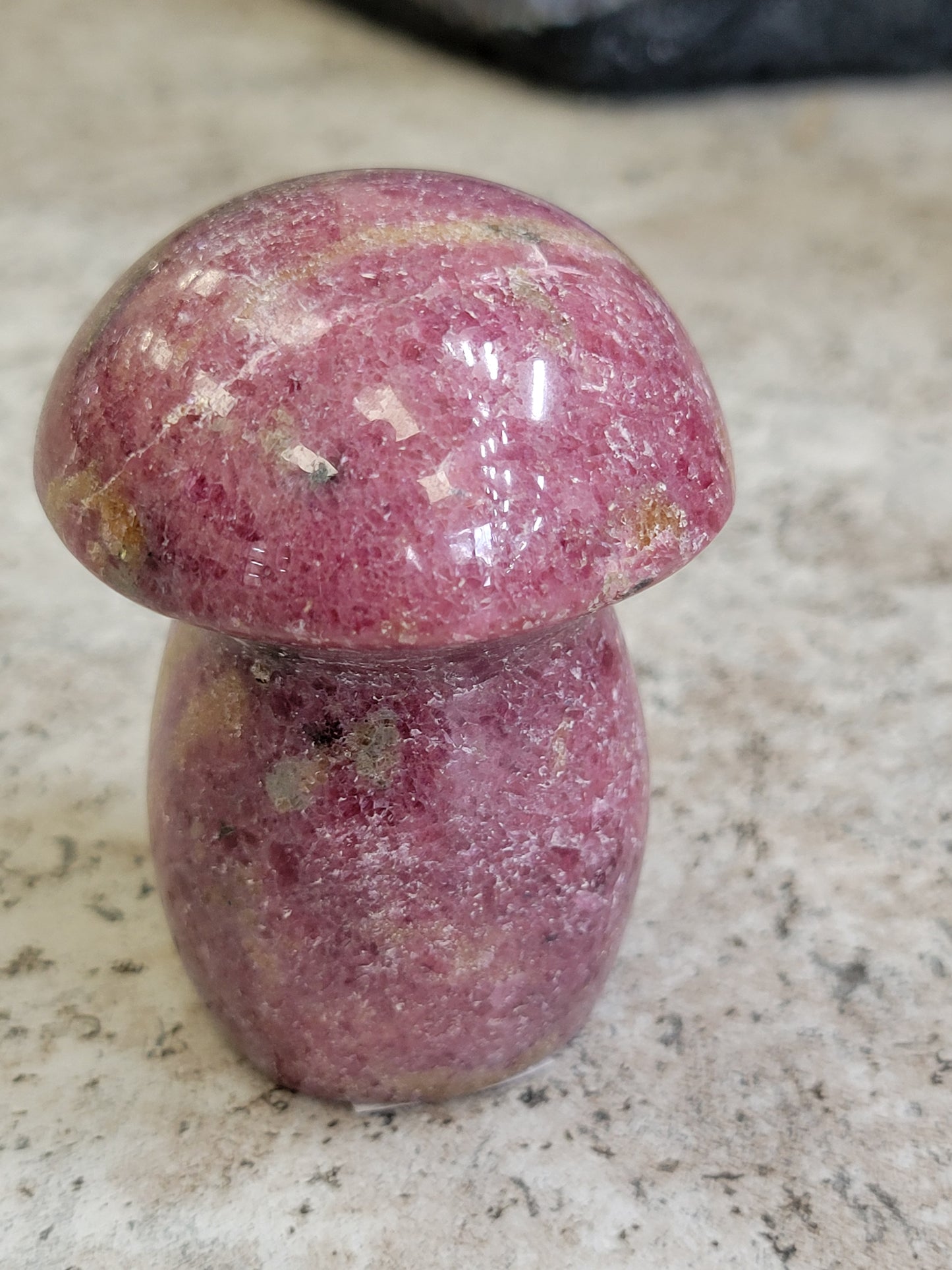 OCEAN JASPER MUSHROOM