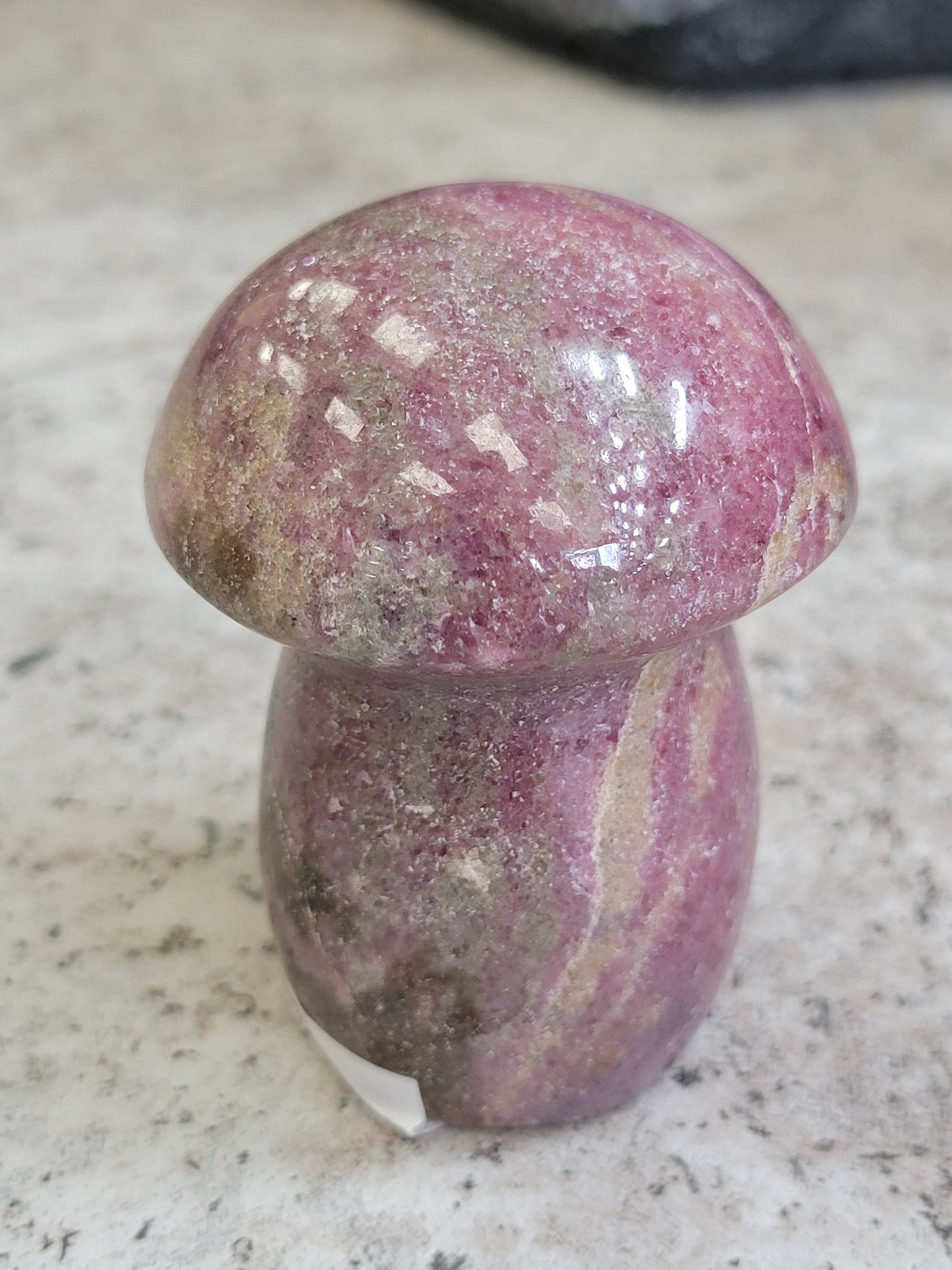 OCEAN JASPER MUSHROOM
