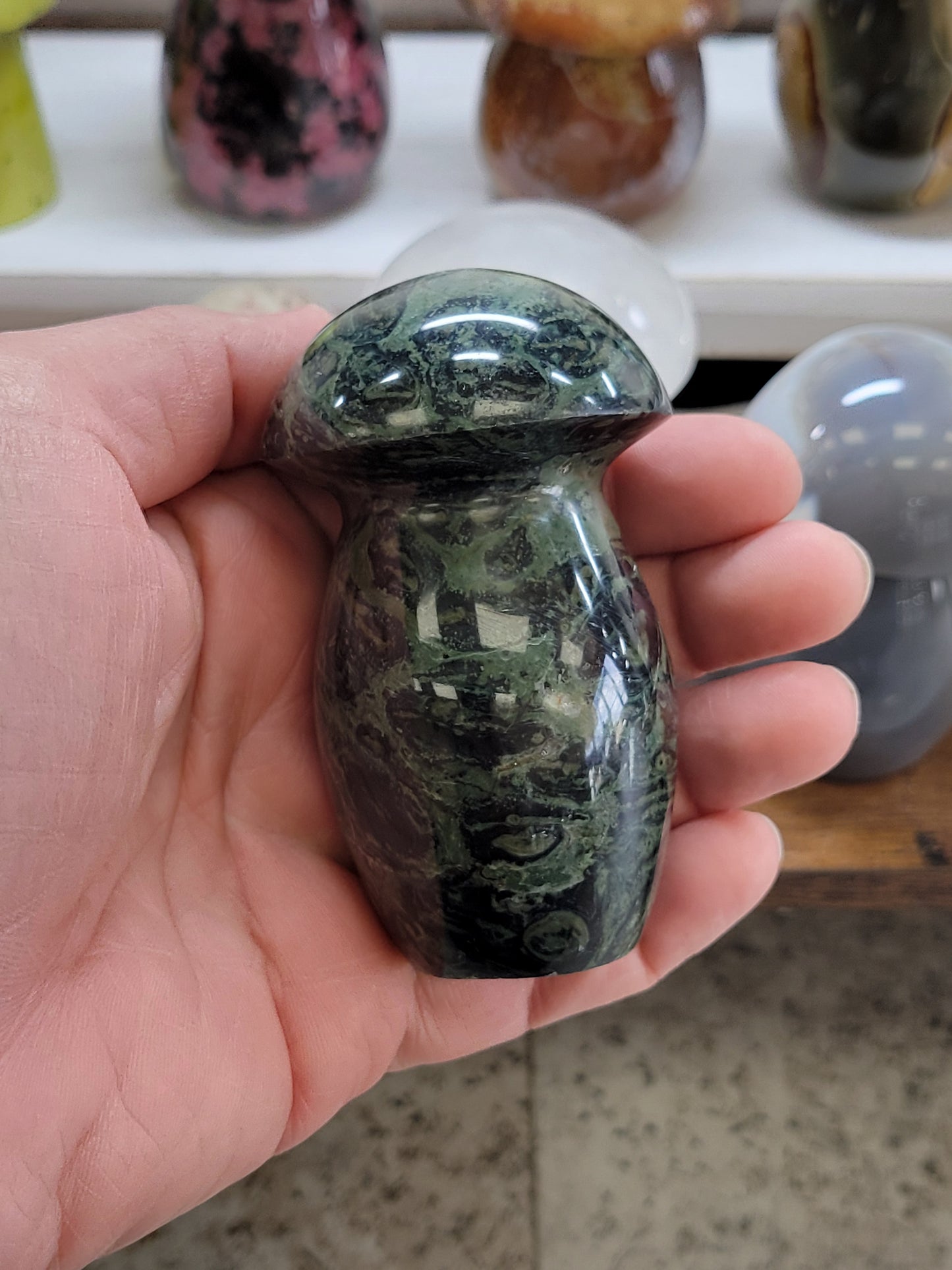 KAMBABA JASER MUSHROOM
