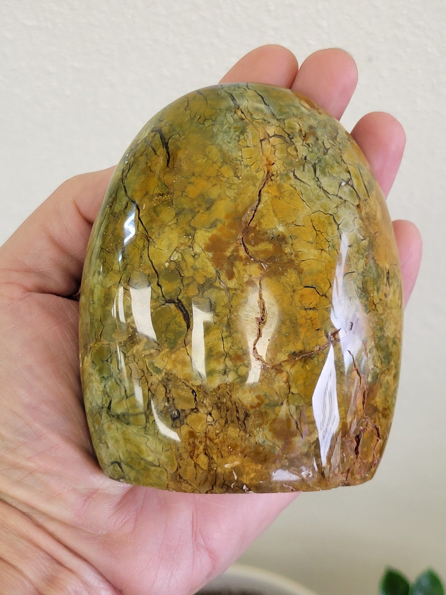 BREACCEATED AGATE FREEFORM