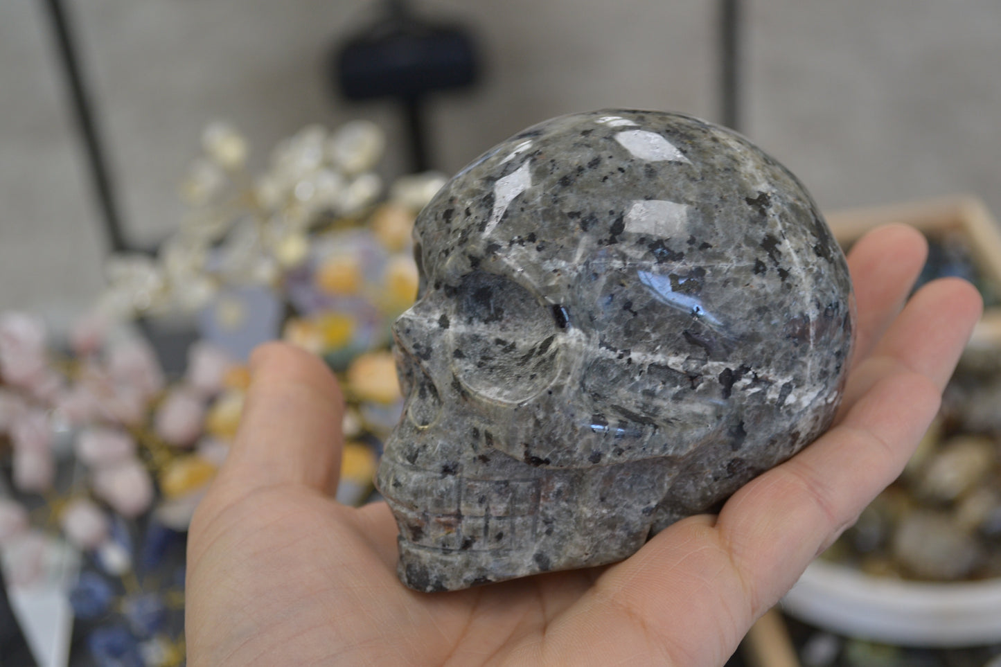 SYENITE SODALITE SKULL