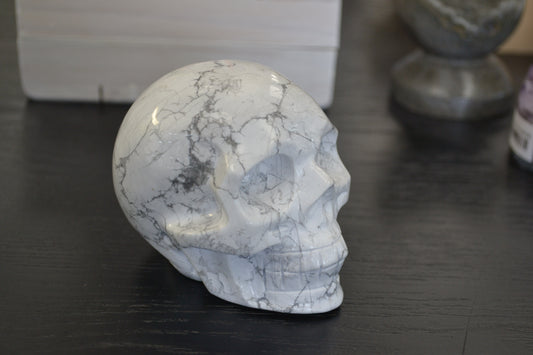 HOWLITE SKULL