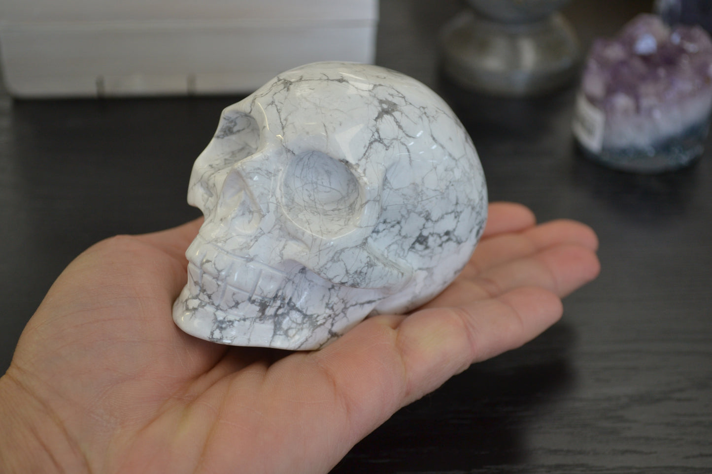 HOWLITE SKULL