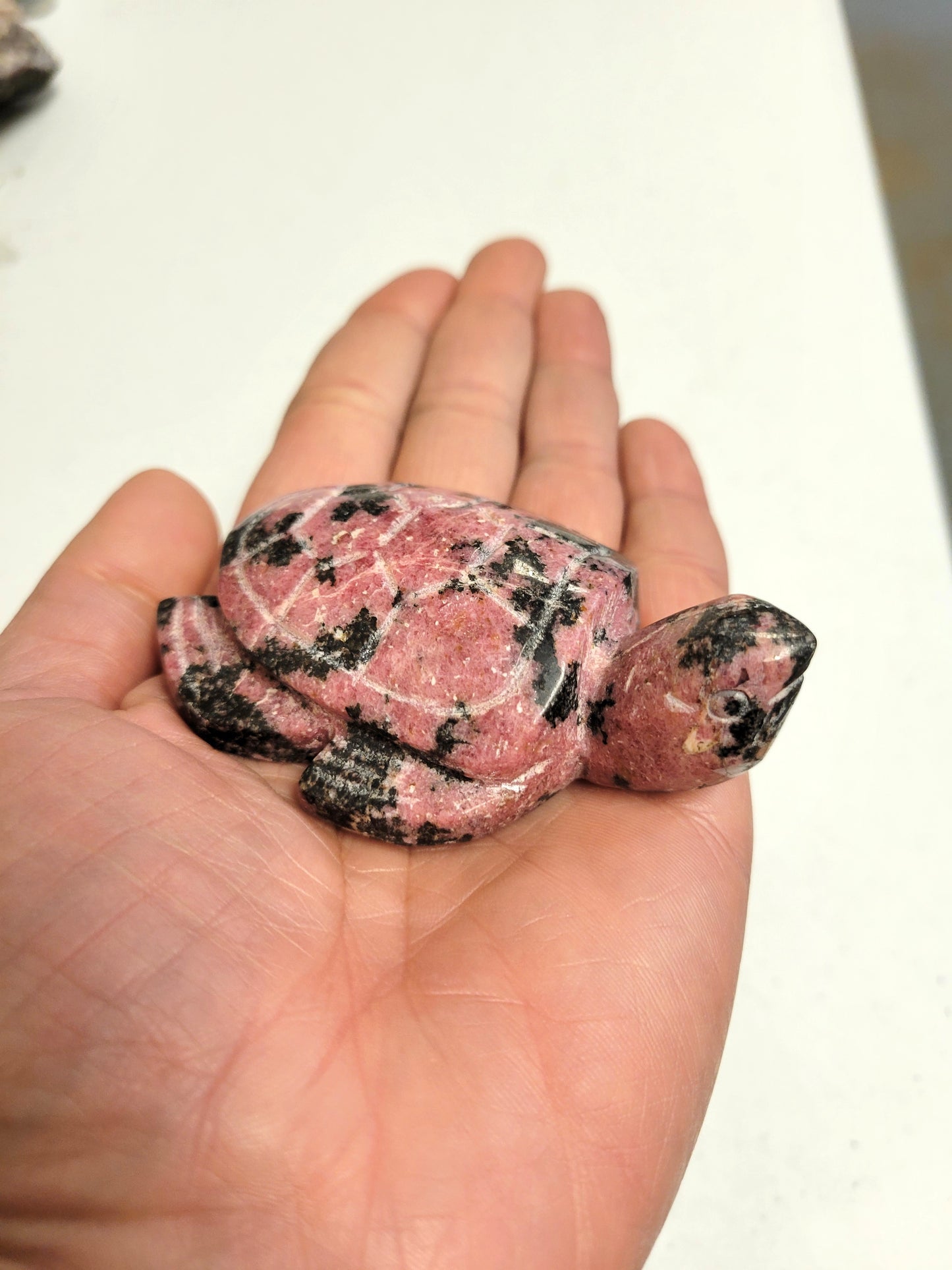 Rhodonite Sea Turtle