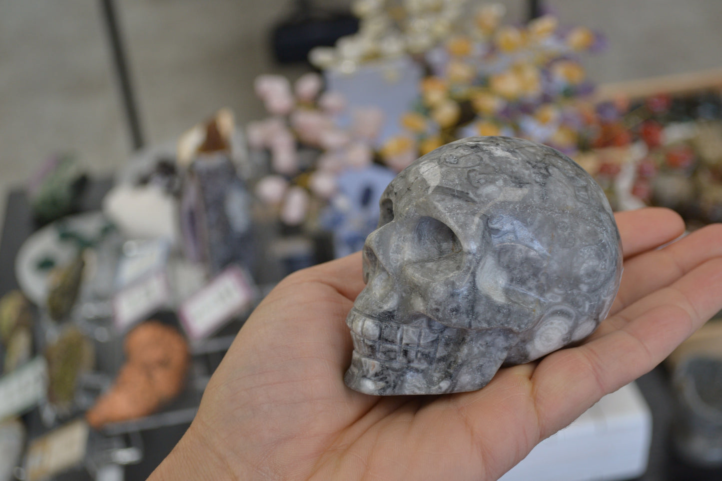 Thousand Eye Jasper Skull